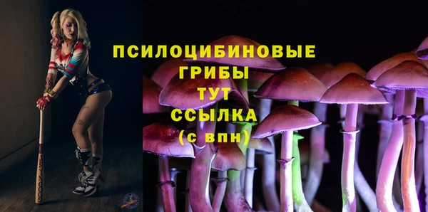 СК Дмитров