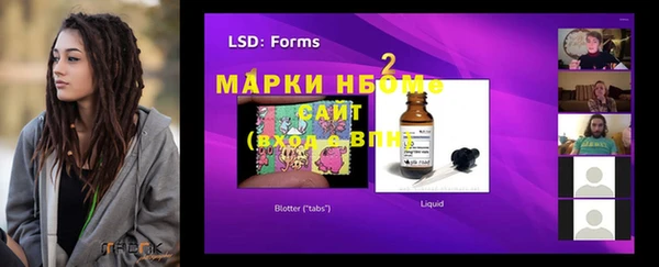 шишки Дмитриев