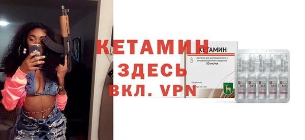 шишки Дмитриев