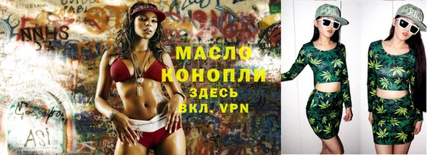 шишки Дмитриев