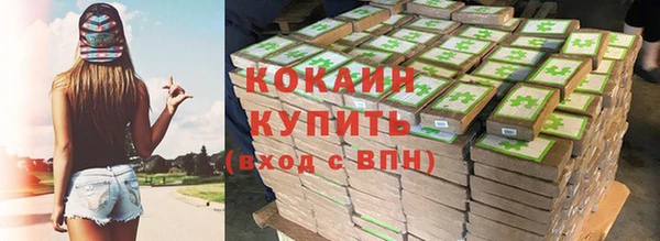шишки Дмитриев