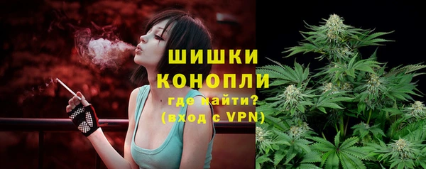 шишки Дмитриев
